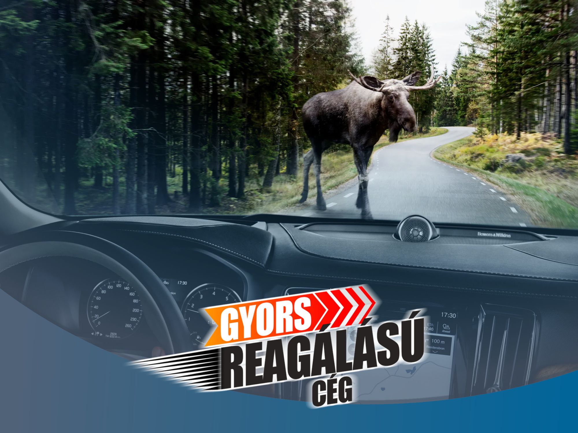 Hánnyal veszi a céged a Jávorszarvas tesztet?