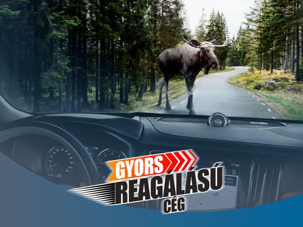 Hánnyal veszi a céged a Jávorszarvas tesztet?