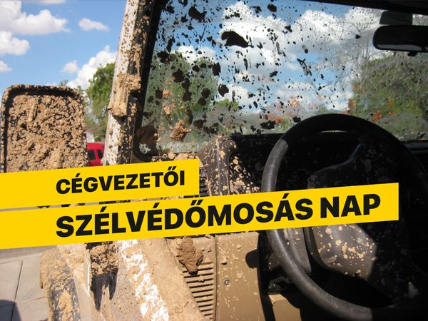 Cégvezetői szélvédőmosás nap